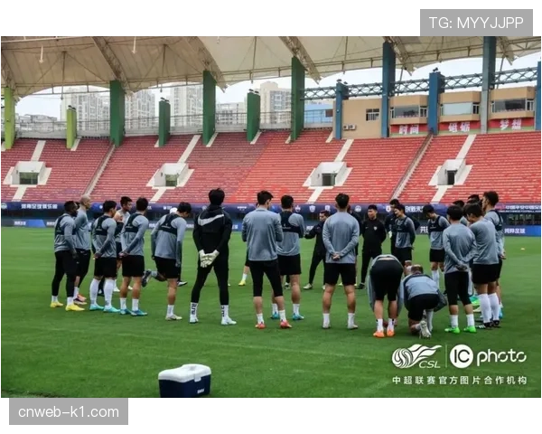 【2026年4月中超联赛·人物·动态南通支云官方：前锋卡斯蒂略腘绳肌轻微撕裂，预计伤缺四周